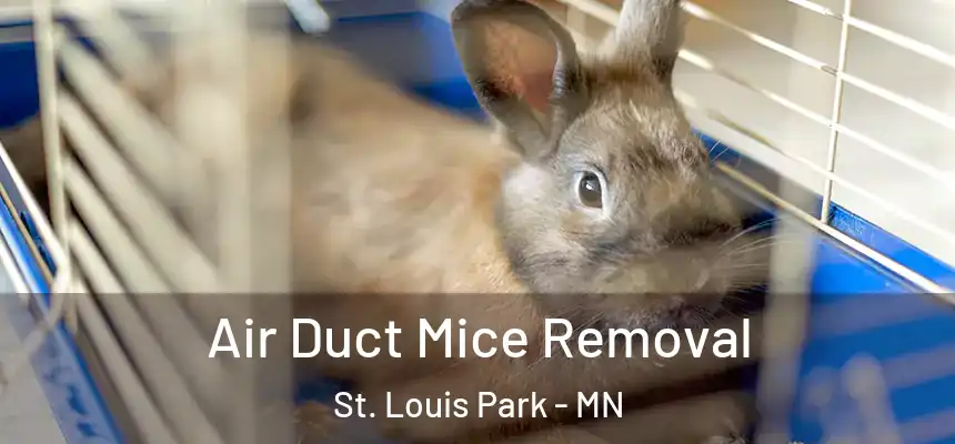  Air Duct Mice Removal St. Louis Park - MN