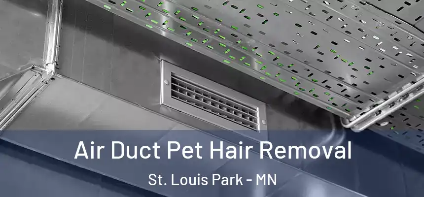  Air Duct Pet Hair Removal St. Louis Park - MN