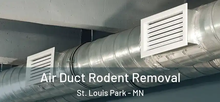  Air Duct Rodent Removal St. Louis Park - MN