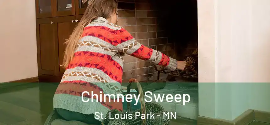  Chimney Sweep St. Louis Park - MN