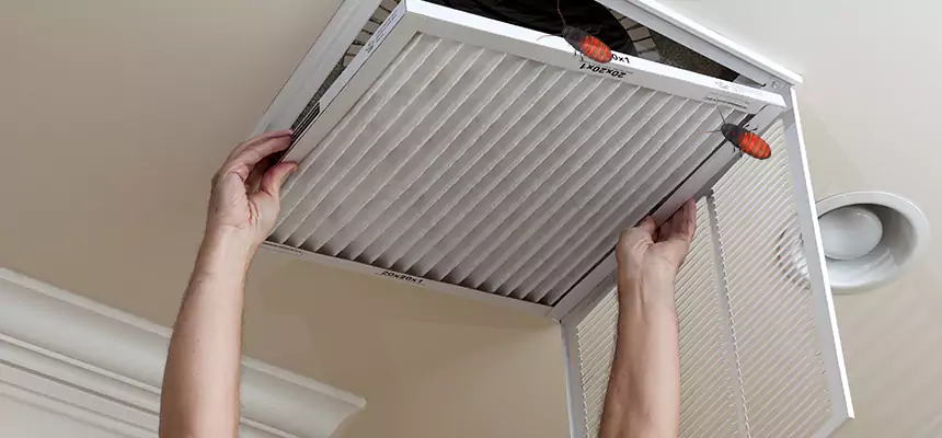 Preventive Cockroach-Proofing for Ducts in St. Louis Park