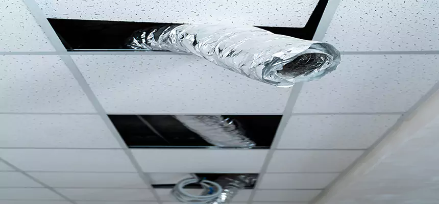 Our Air Duct Pet Hair Removal Services in St. Louis Park, MN