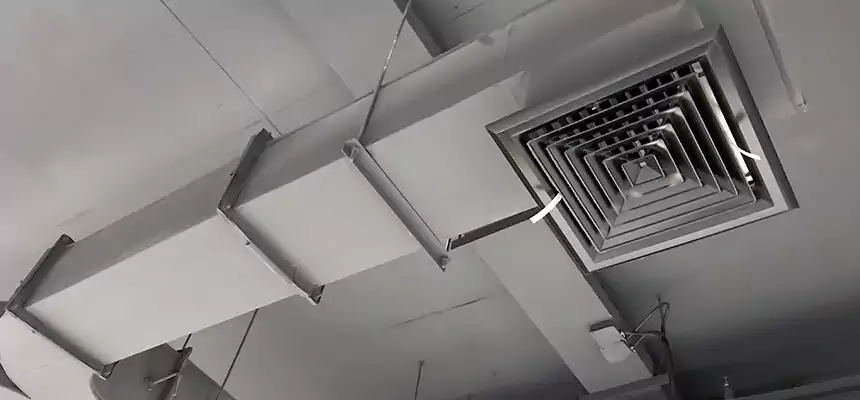 Restorative Allergy Relief Vent Cleaning – Coil, Blower & Housing Detail in St. Louis Park