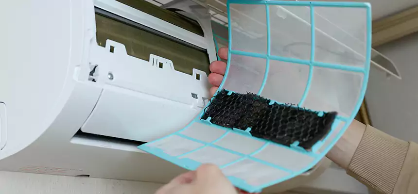 Gentle Ductwork Odor-Control Pet Dander Duct Cleaning in St. Louis Park, MN