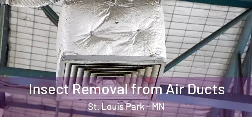  Insect Removal from Air Ducts St. Louis Park - MN