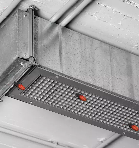 About Air Duct Cockroach Removal in St. Louis Park, MN