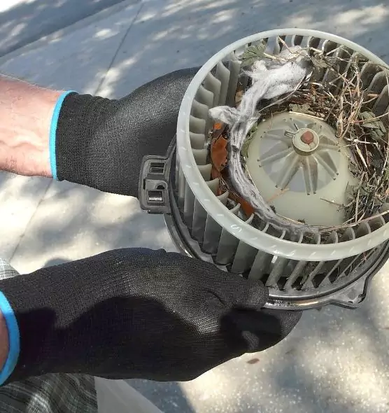 About Air Duct Mice Removal in St. Louis Park, MN