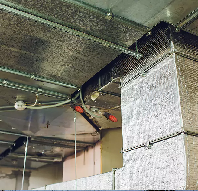 Why Homeowners & Businesses Trust Us in St. Louis Park, MN?