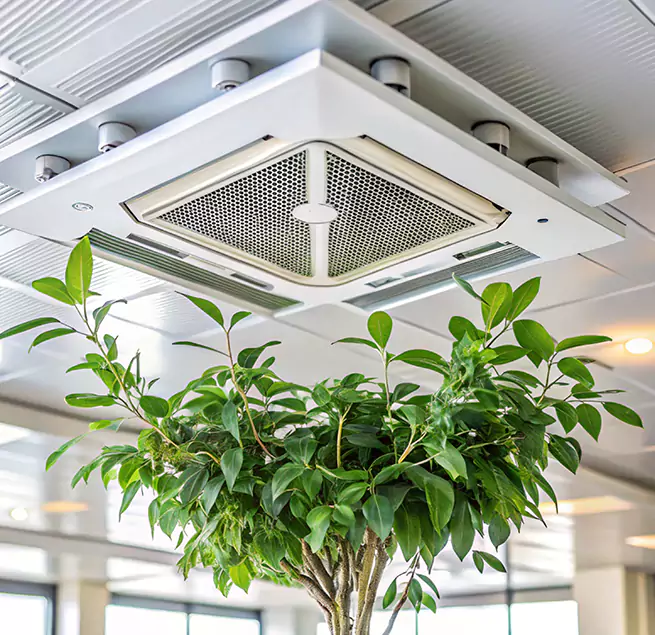 Why Homeowners & Businesses Trust Us in St. Louis Park, MN?